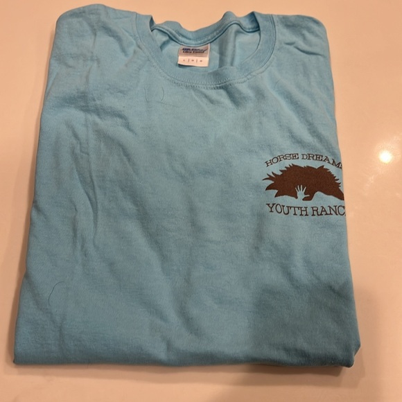 NEW Two (2) Horse Dreams Unisex T-Shirts | Sizes Small & Large | Blue - Picture 2 of 8
